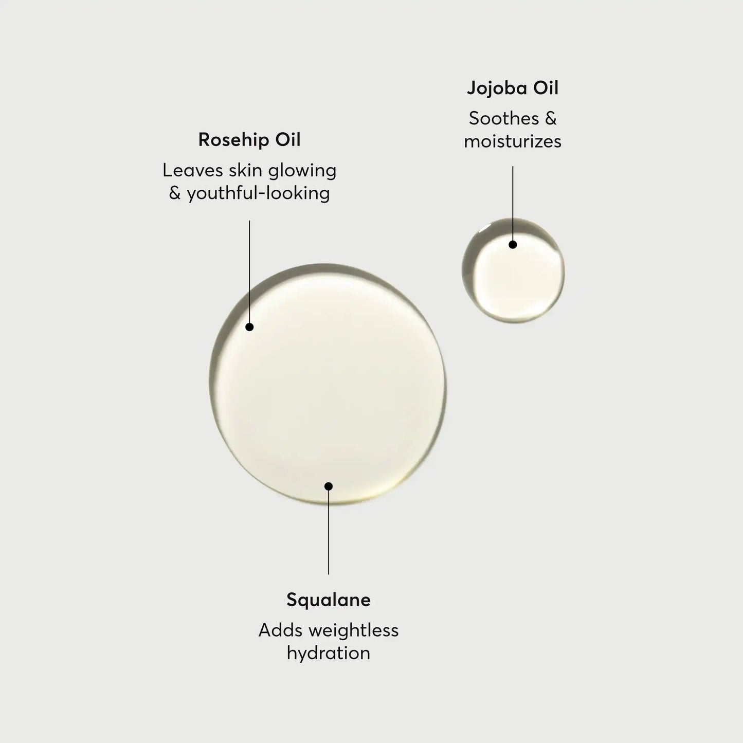 the-glow-getter-body-oil-g5 NATR-10115-Alt-Images-The-Glow-Getter-Body-Oil-01.webp