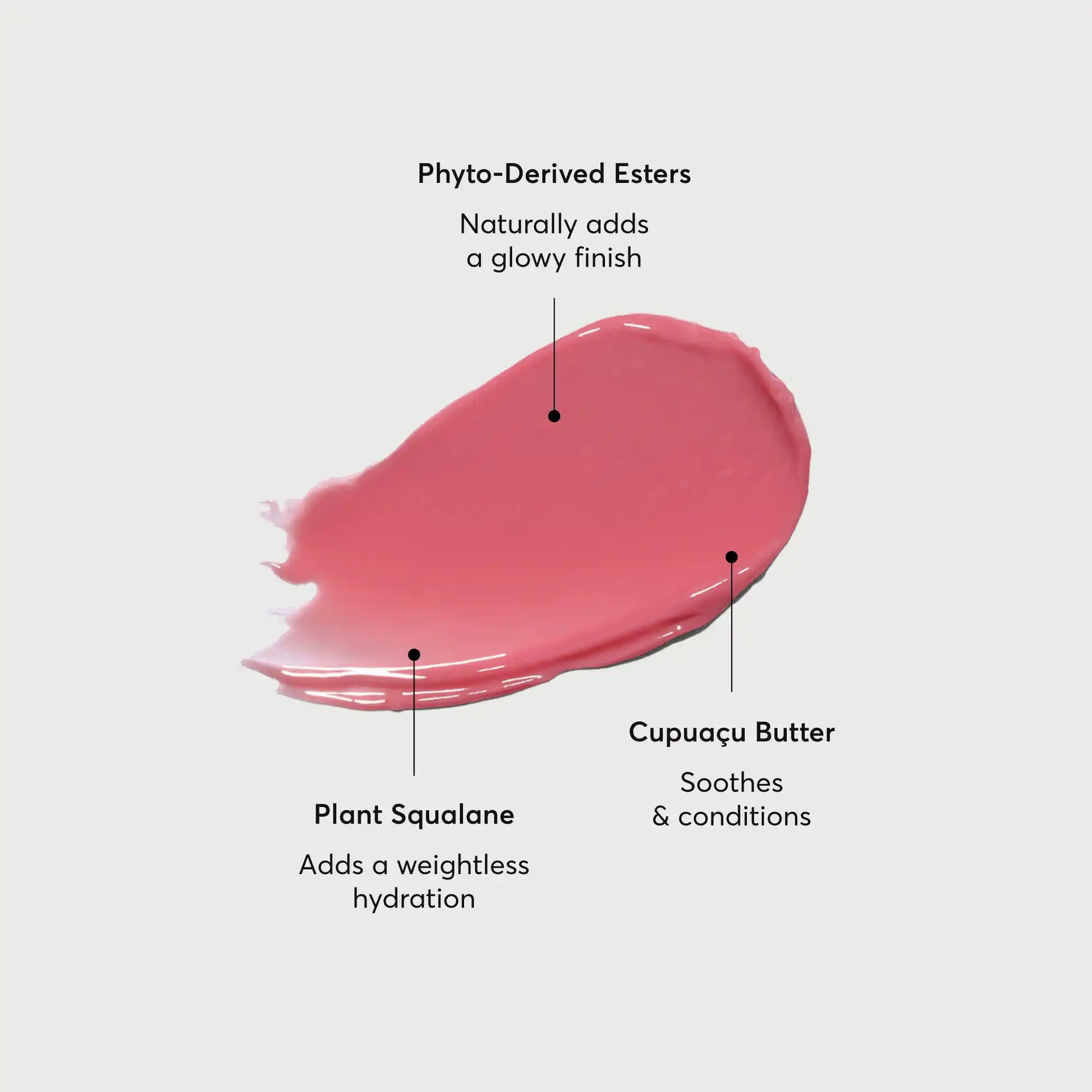 phyto-glow-lip-balm-petal-x2 NATR-60067-Alt-Images-Phyto-Glow-Lip-Balm-Petal-01.webp