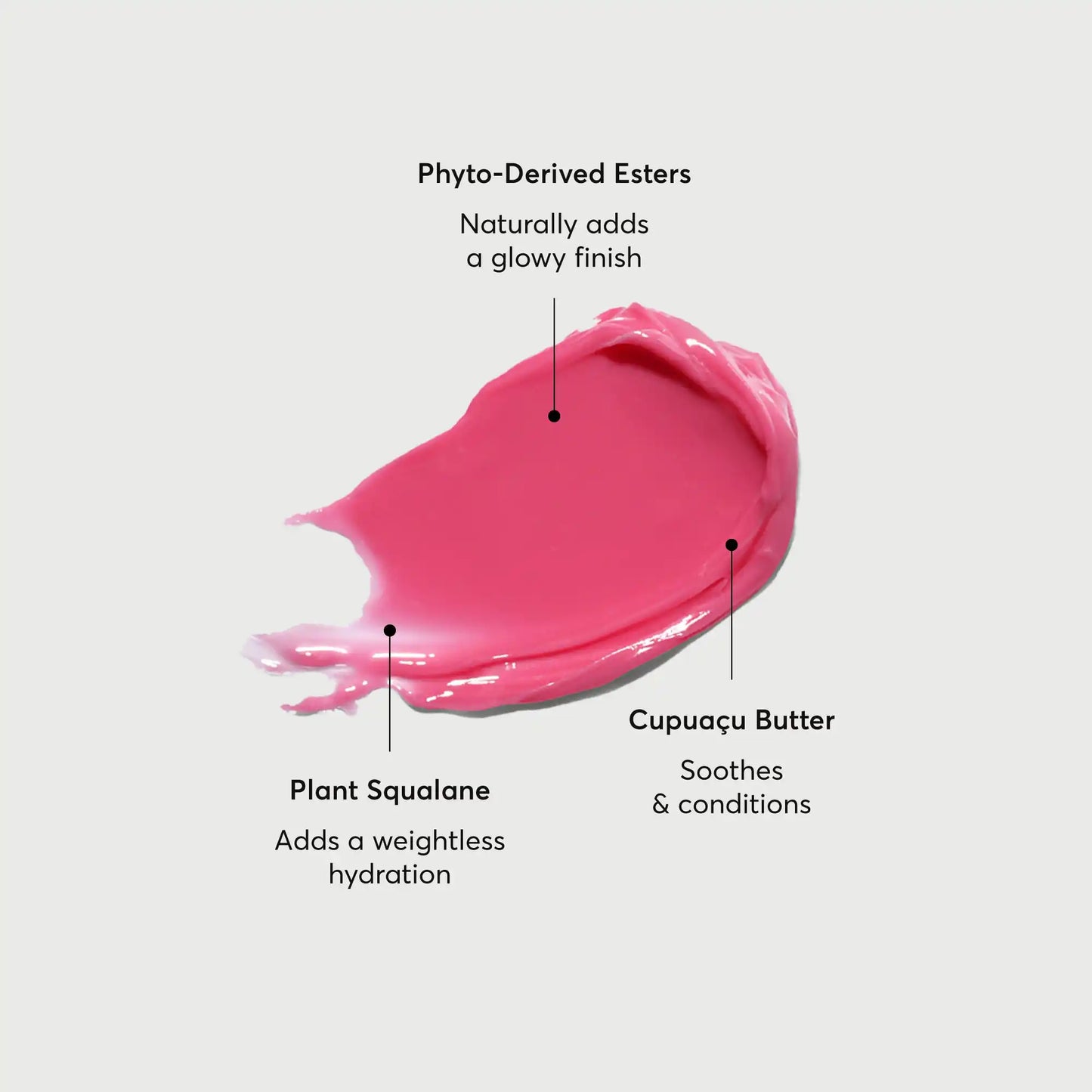 phyto-glow-lip-balm-camellia-z0 NATR-60075-Alt-Images-Phyto-Glow-Lip-Balm-Camellia-01.webp
